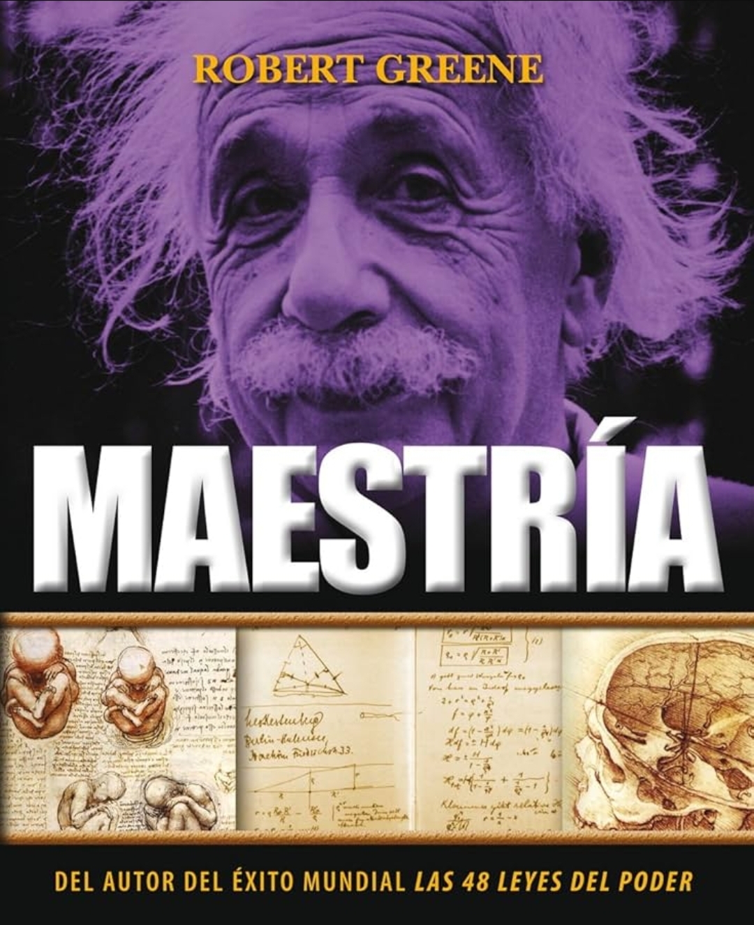 Maestria